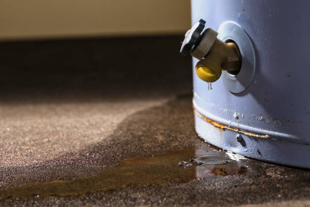 Best Water damage contractors near me  in Buckeye Lake, OH