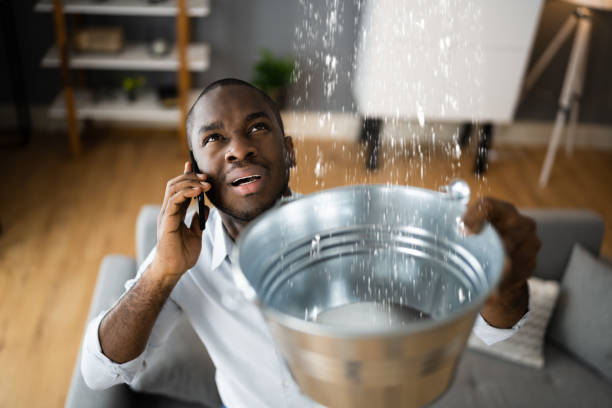 Best Flood restoration services  in Buckeye Lake, OH