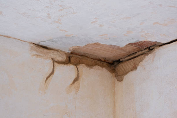 Best Flooded house restoration  in Buckeye Lake, OH