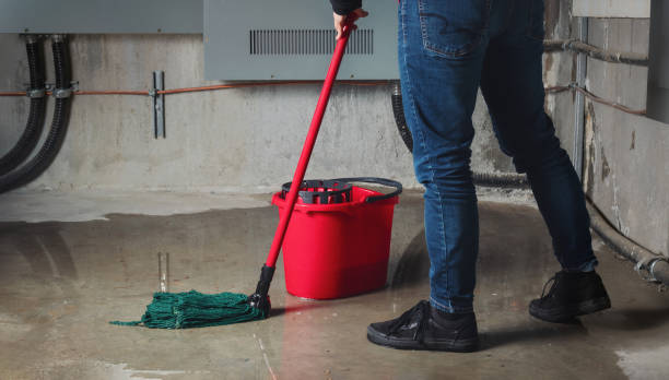 Best Water damage repair service  in Buckeye Lake, OH