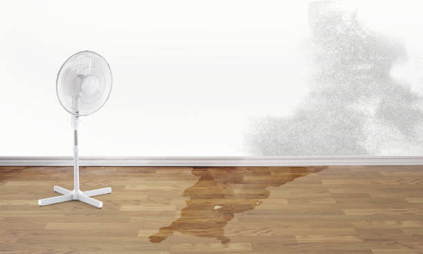 Best Water damage cleanup near me  in Buckeye Lake, OH