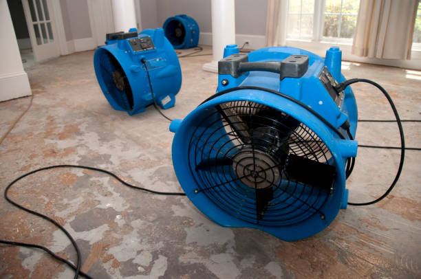 Best Mold removal after water damage  in Buckeye Lake, OH