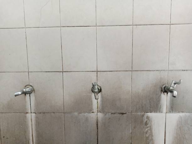 Best Water damage restoration company  in Buckeye Lake, OH