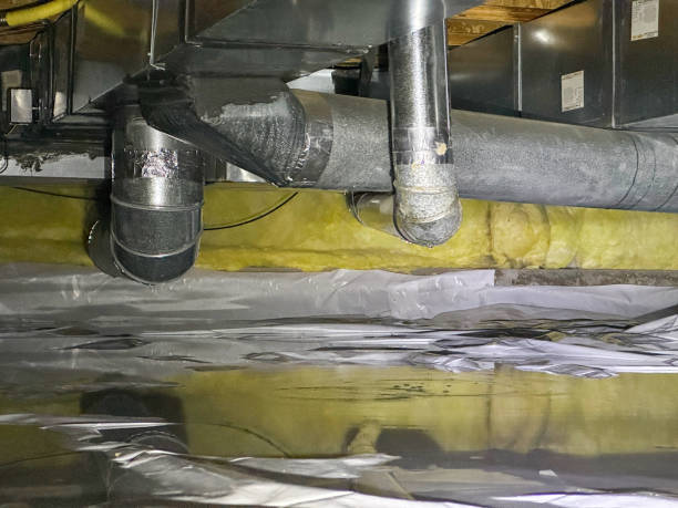 Water damage restoration mold remediation in Buckeye Lake, OH