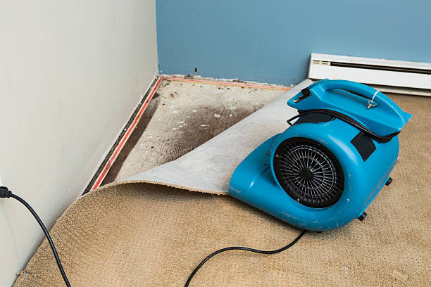 Water damage restoration process in Buckeye Lake, OH